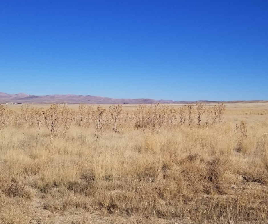 buy land NV buy land NV