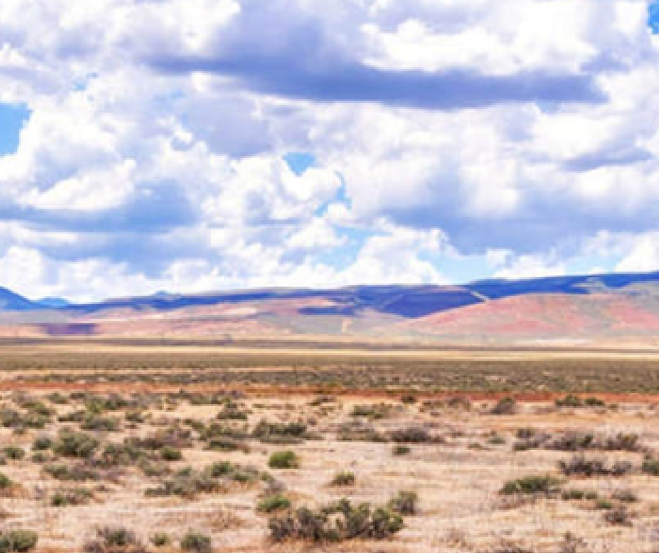 land sale nevada