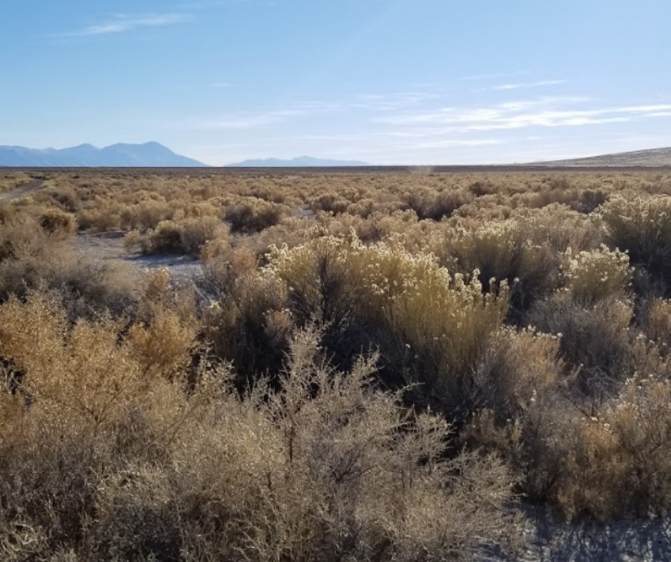 39.56 Acres Off Grid Delight, Eureka County, NevadaSOLD Vacant Land USA