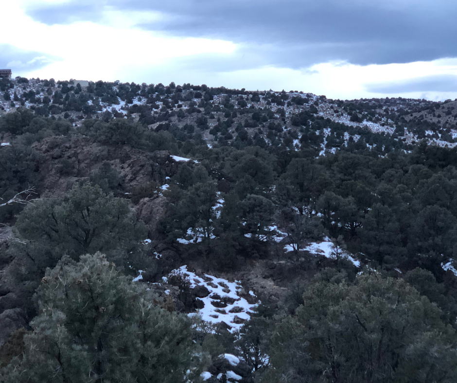 40 Acre Mountain Paradise Ranch. Close To Tahoe & Reno, NevadaSOLD