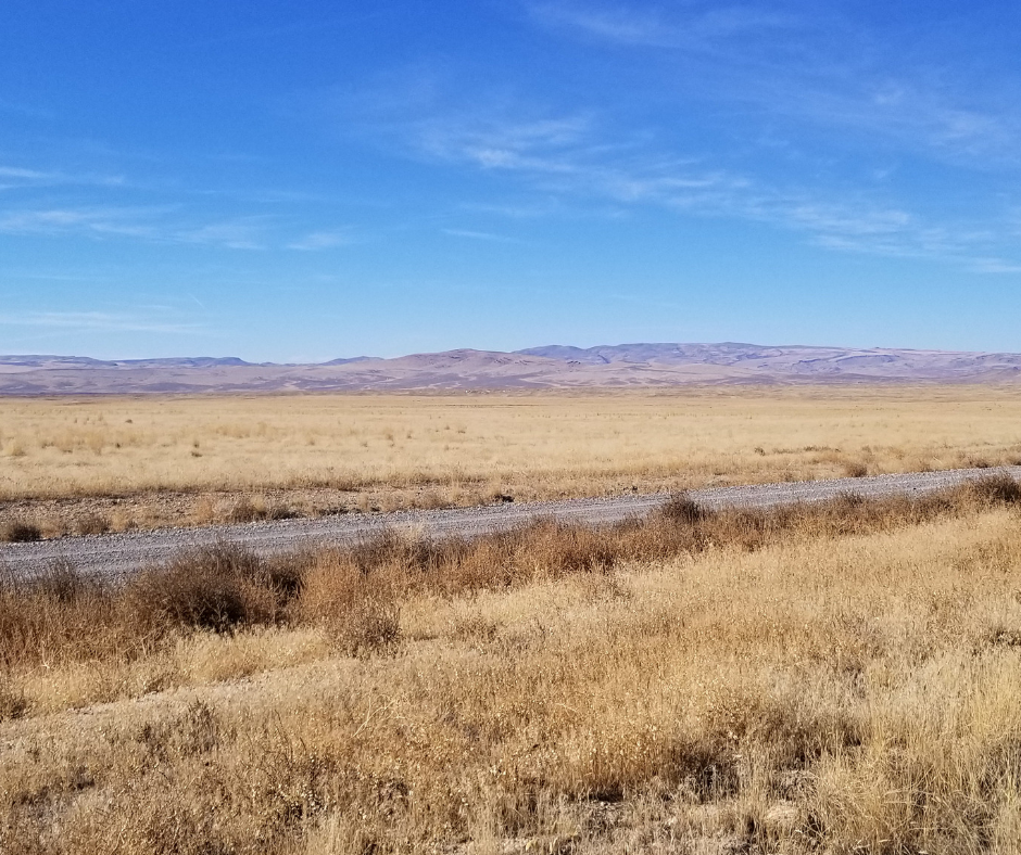 Land for sale nevada Land for sale nevada