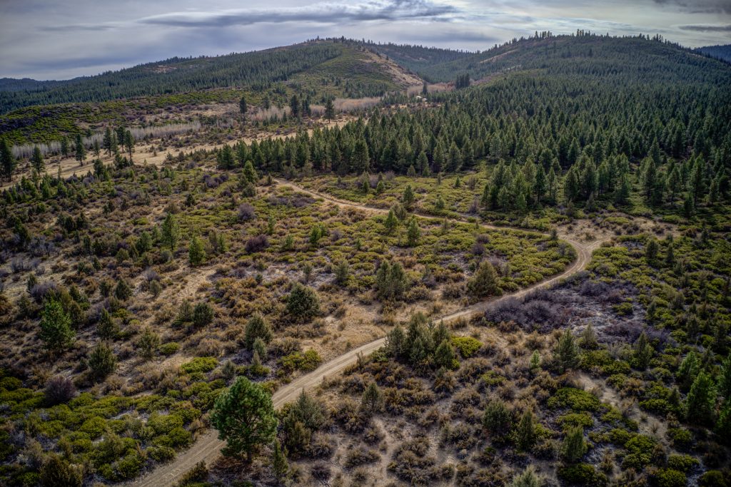 Oregon land for sale