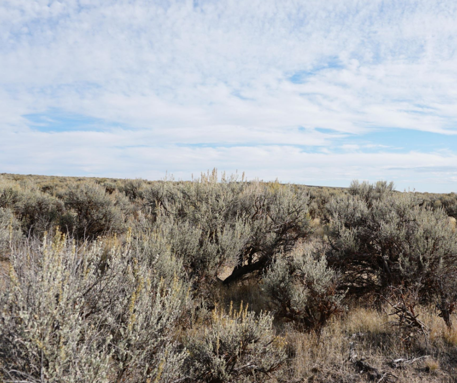 land sale oregon land sale oregon