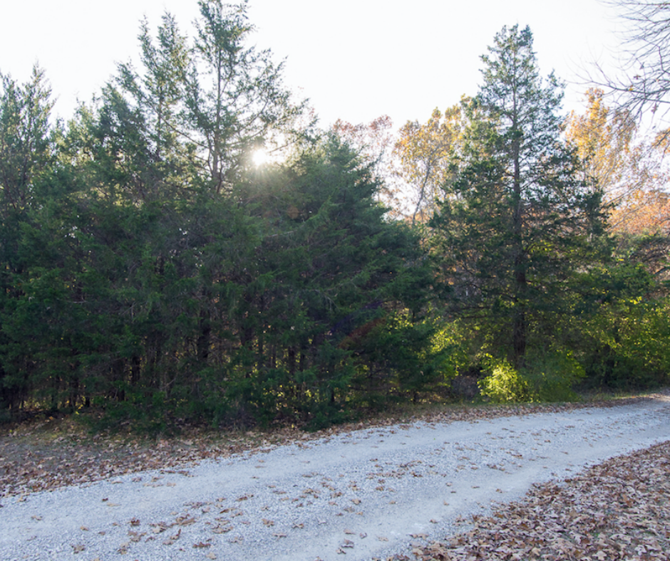 land for sale Hillsboro, MO