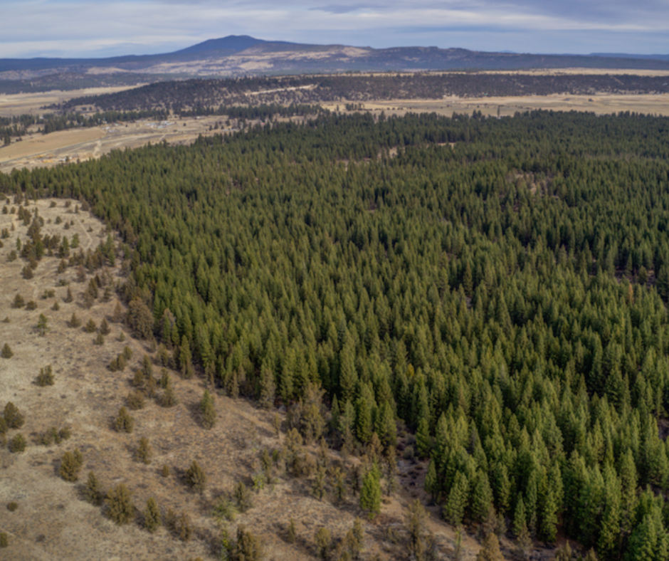 19.8 Acre Bliss Rd, Klamath County, Oregon Land For SaleSOLD Vacant