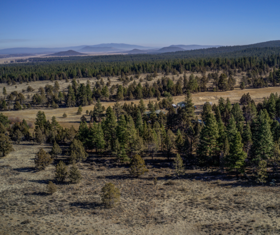 19.8 Acre Bliss Rd, Klamath County, Oregon Land For SaleSOLD Vacant