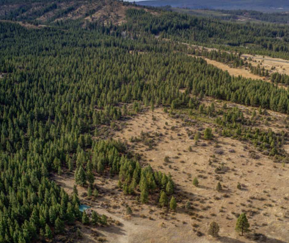 buy land 20ac oregon