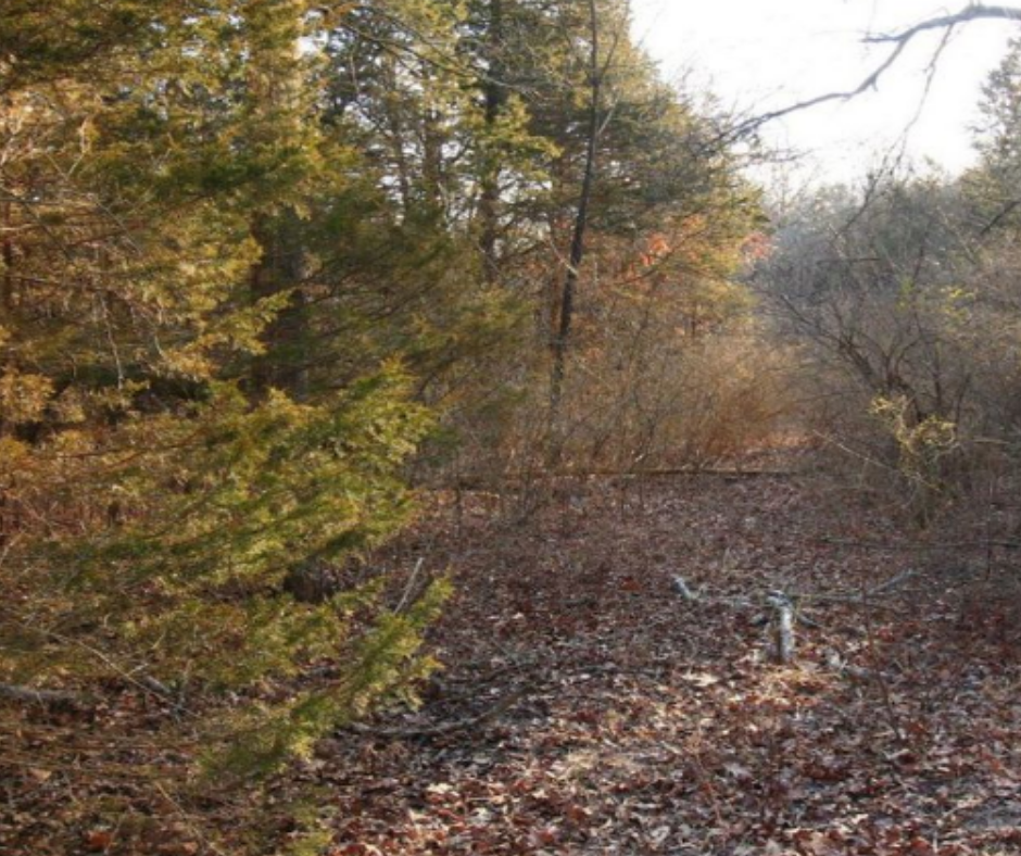 2.28 acres Residential Land For Sale, Dittmer MissouriSOLD Vacant Land USA