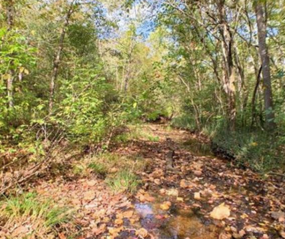 Land For Sale In Missouri Vacant Land USA