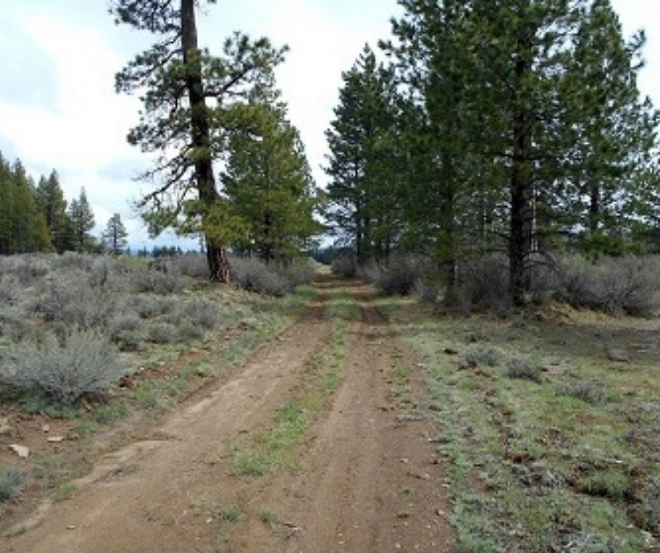 9.8 Acre White Birch Way, Klamath County, Oregon Land For Sale Vacant