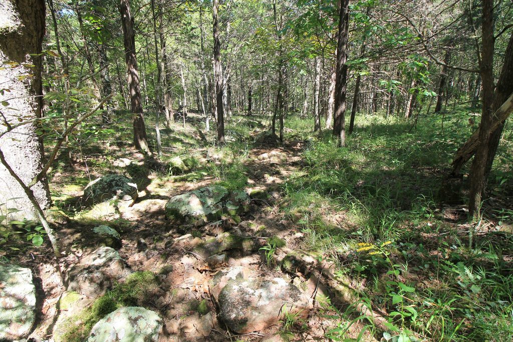 land for sale missouri