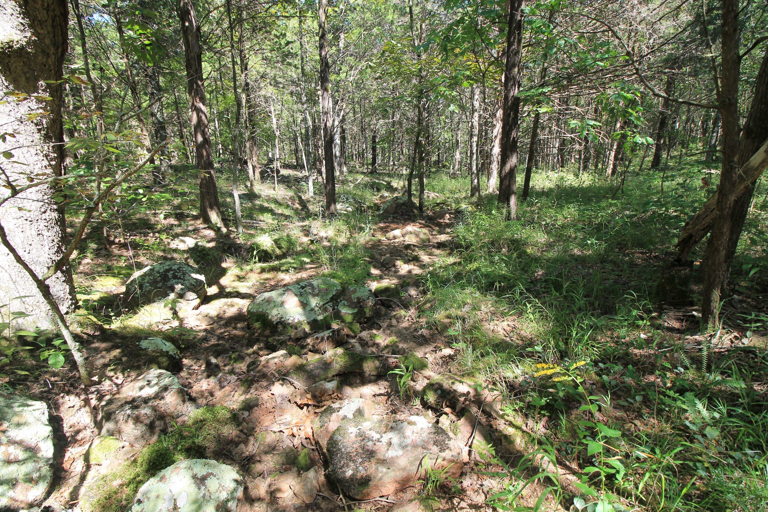 15Ac Land For Sale, St Francois County, MissouriSOLD Vacant Land USA