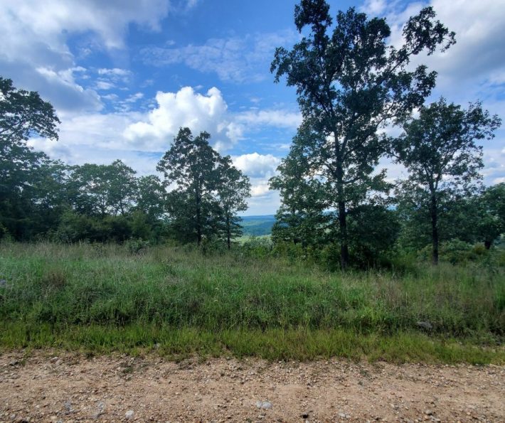 3Ac Land For Sale, Iron County, MissouriSOLD Vacant Land USA