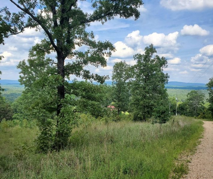 3Ac Land For Sale, Iron County, MissouriSOLD Vacant Land USA