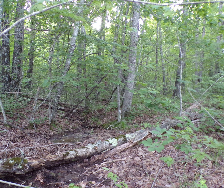 10Ac Land For Sale, Madison County, ArkansasSOLD Vacant Land USA