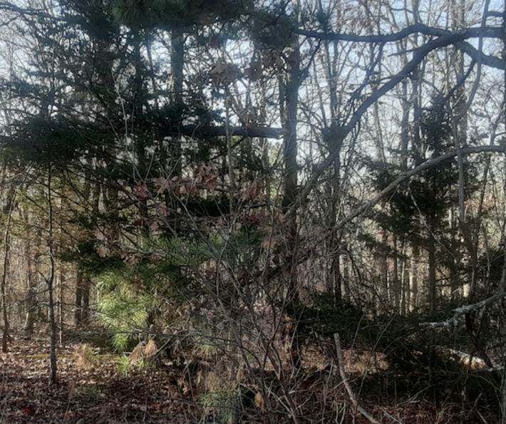 6Ac Land For Sale, Potosi, MissouriSOLD Vacant Land USA