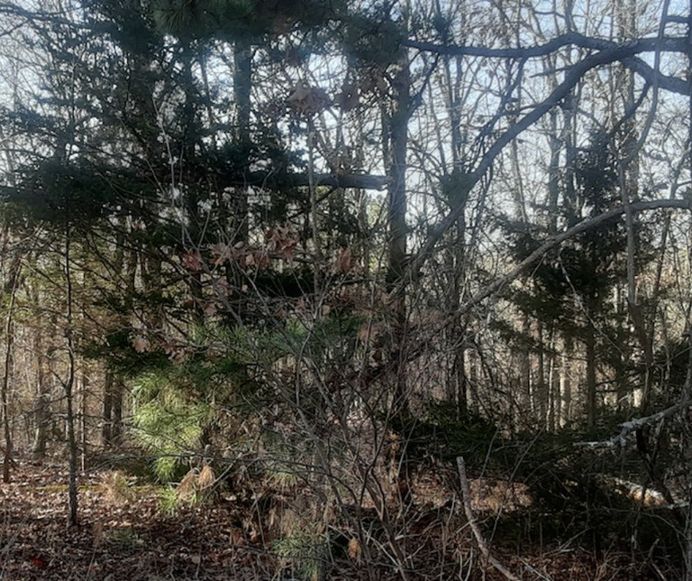 6Ac Land For Sale, Potosi, MissouriSOLD Vacant Land USA