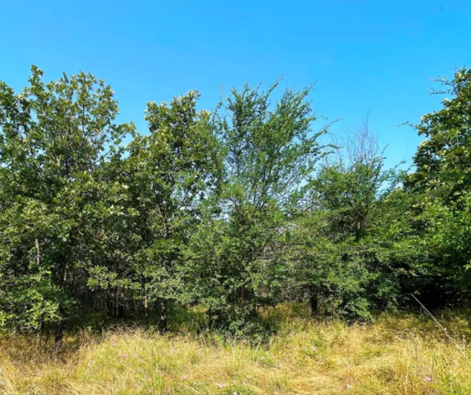 land for sale haskell County OK