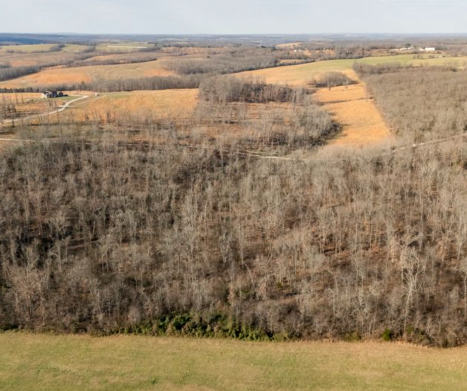land for sale texas county MO